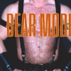 Muscled and hairy like a bear. Become powerful as a bear